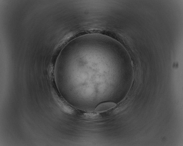 X0000091710480200708241251