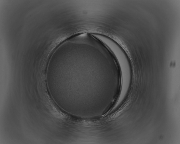 X0000091710481200708241250