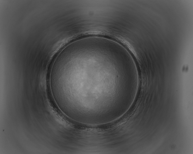 X0000091710482200708241250