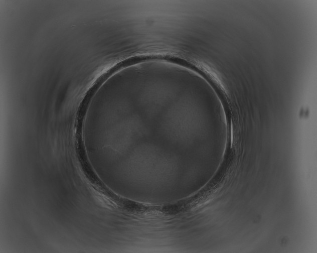 X0000091710483200708241250