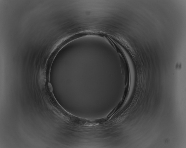 X0000091710484200708241250