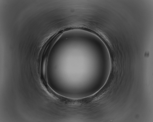 X0000091710485200708241250