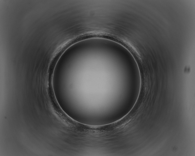 X0000091710486200708241250