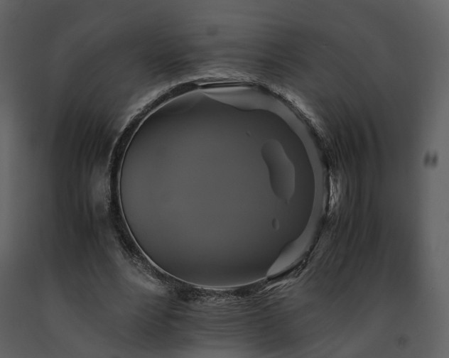 X0000091710488200708241250