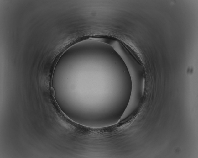 X0000091710489200708241250