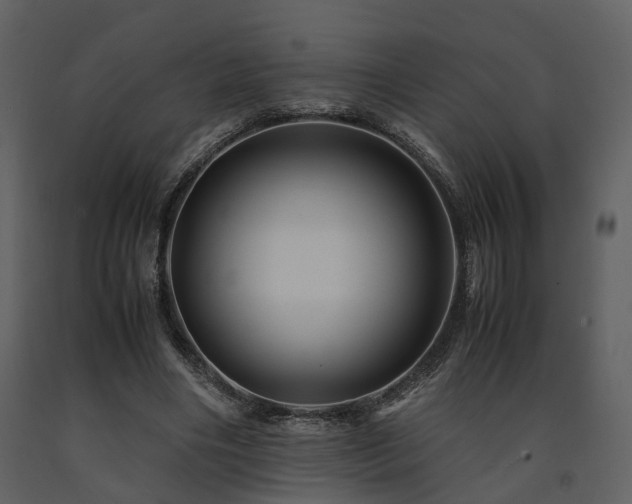 X0000091710490200708241250