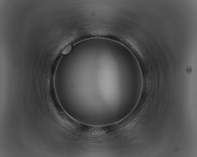 X0000091710491200708241250