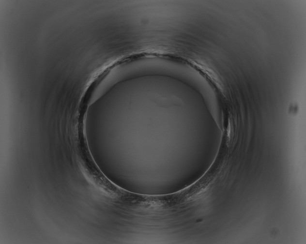 X0000091710492200708241250