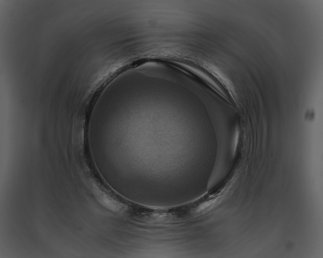 X0000091710493200708241250