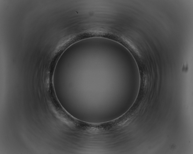 X0000091710494200708241250