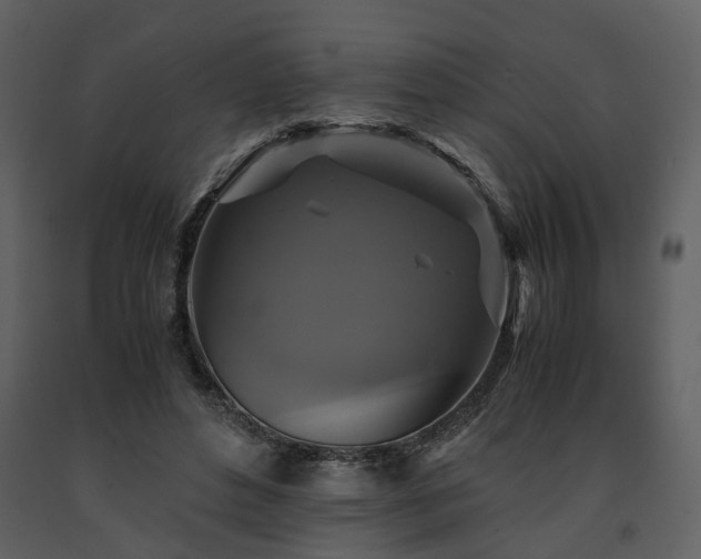 X0000091710496200708241250