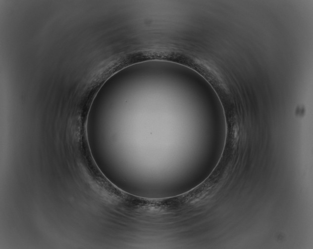 X0000091710498200708241250