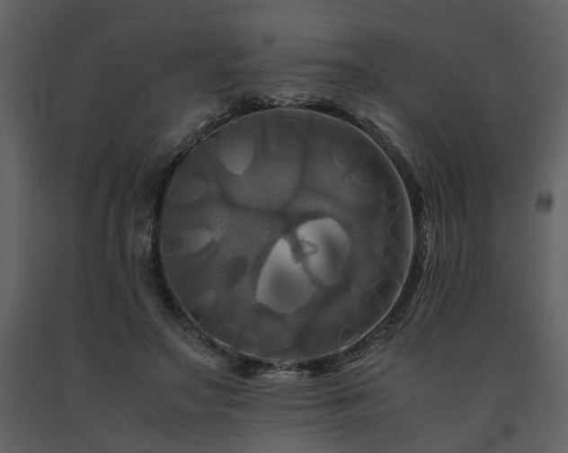 X0000091710499200708241250