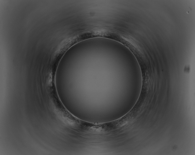 X0000091710502200708241250