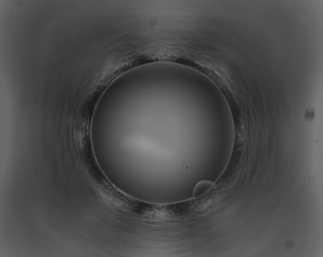 X0000091710503200708241250