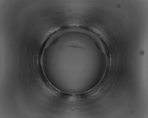 X0000091710504200708241250