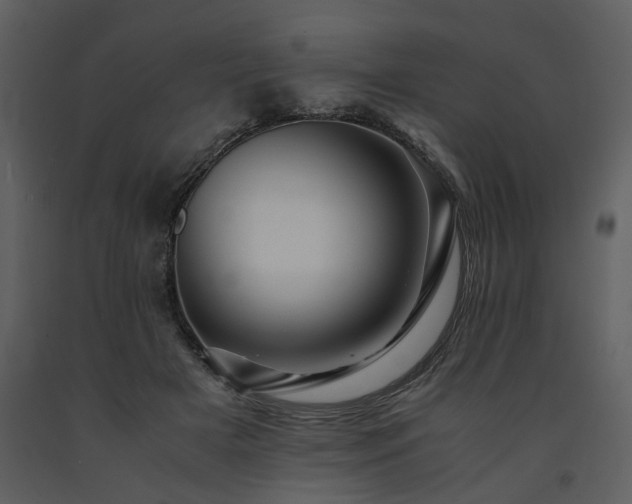 X0000091710505200708241250