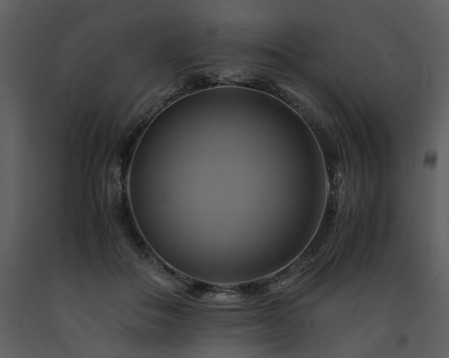 X0000091710506200708241250