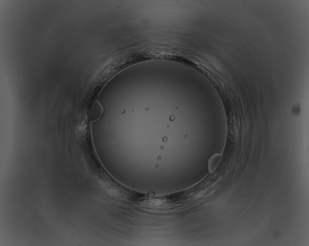 X0000091710507200708241250