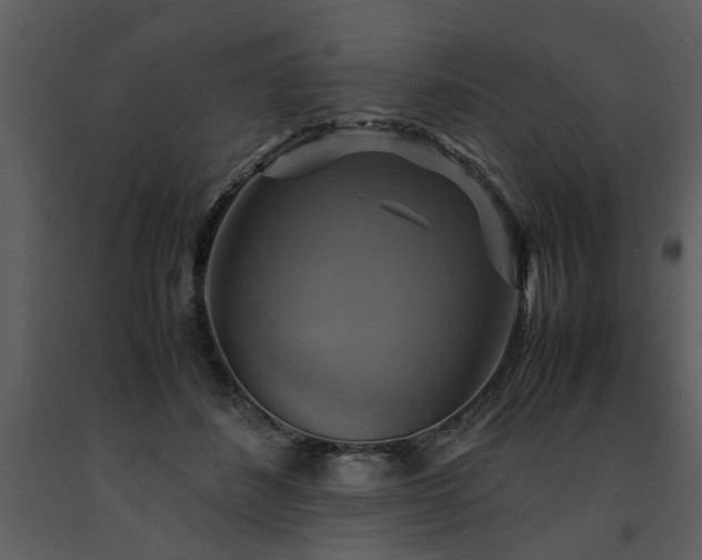 X0000091710508200708241250