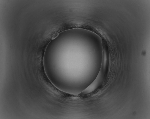 X0000091710509200708241250