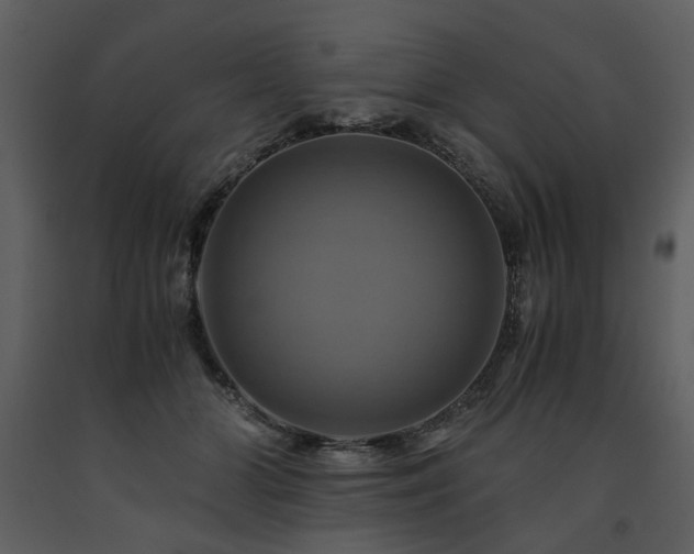 X0000091710510200708241250