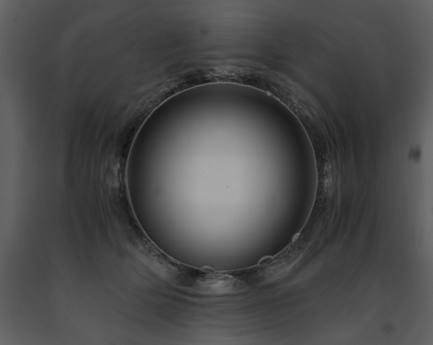 X0000091710514200708241250