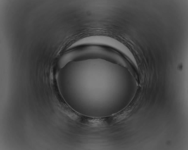 X0000091710516200708241250