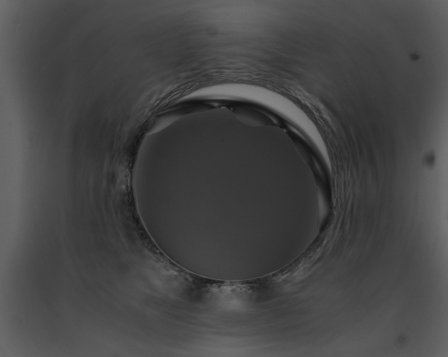 X0000091710517200708241250