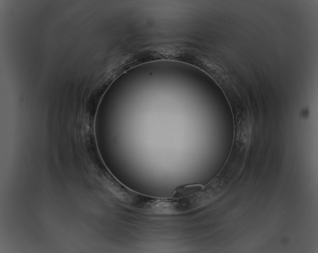 X0000091710518200708241250