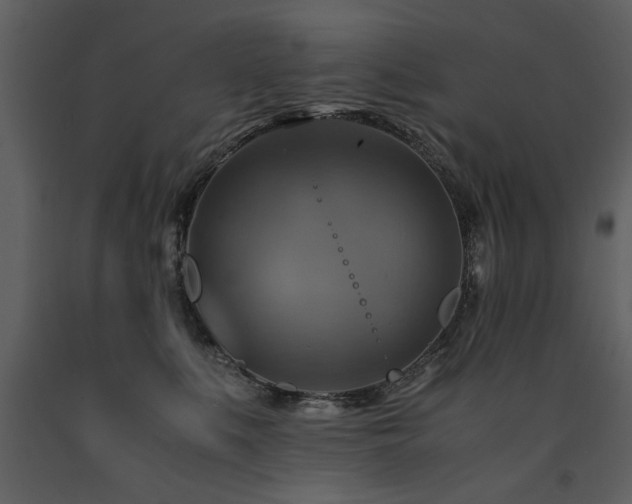 X0000091710519200708241250