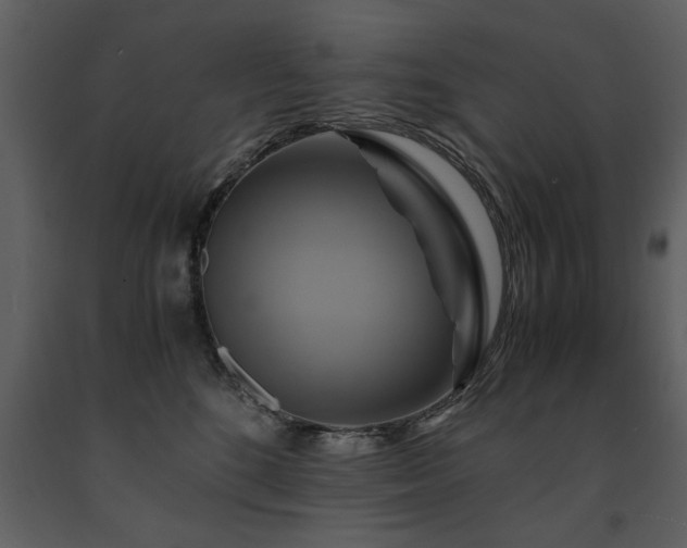 X0000091710520200708241250