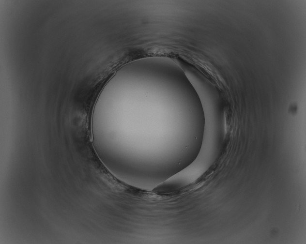 X0000091710521200708241250