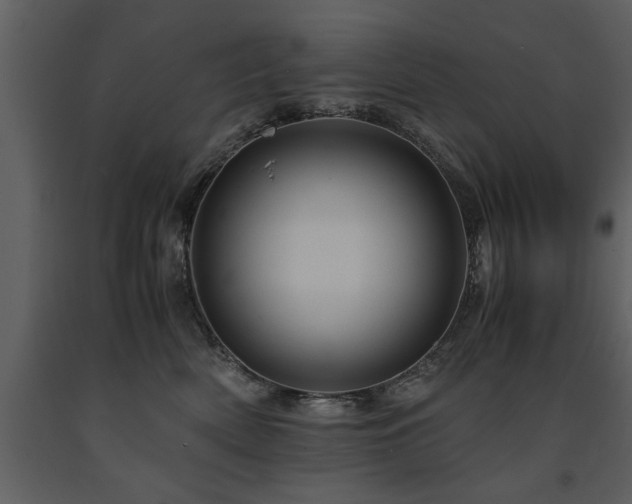 X0000091710522200708241250