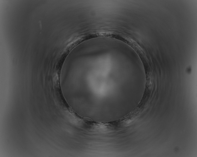 X0000091710523200708241250