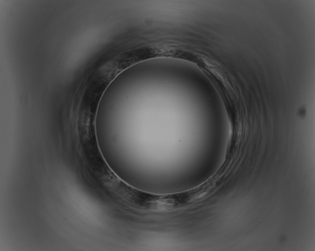 X0000091710525200708241250