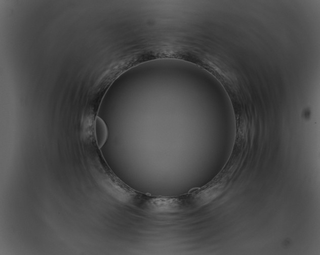 X0000091710526200708241250