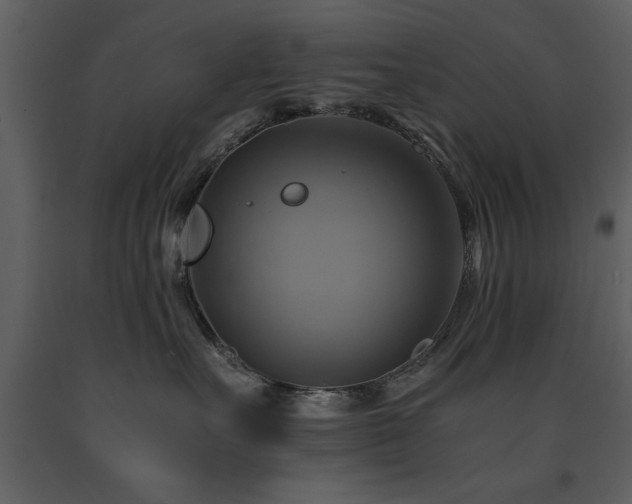 X0000091710527200708241250