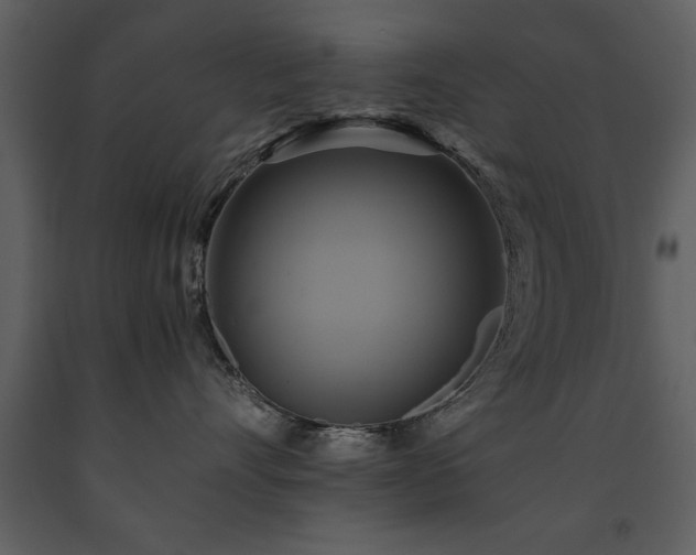 X0000091710528200708241250