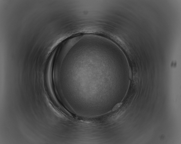 X0000091710530200708241249