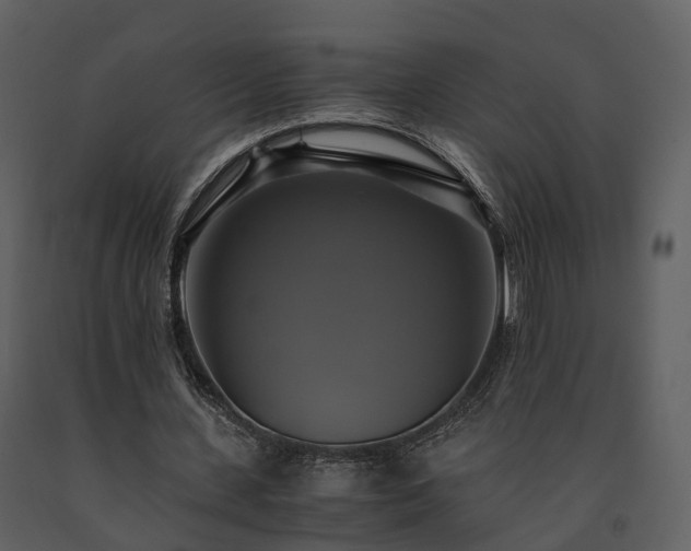 X0000091710531200708241249