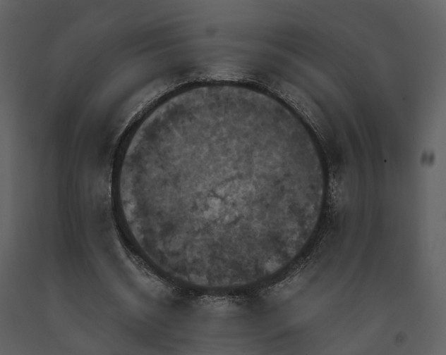 X0000091710534200708241249