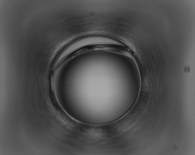 X0000091710535200708241249