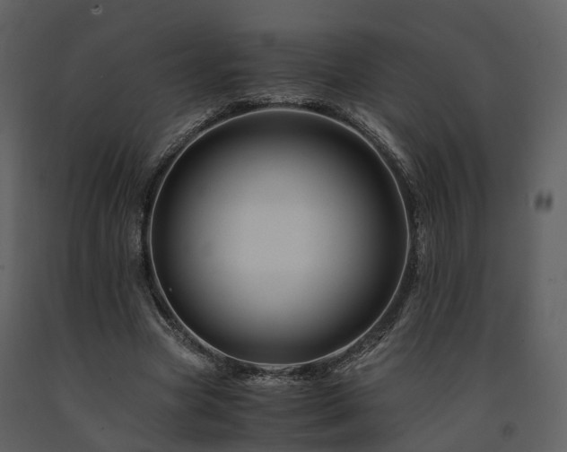 X0000091710537200708241249