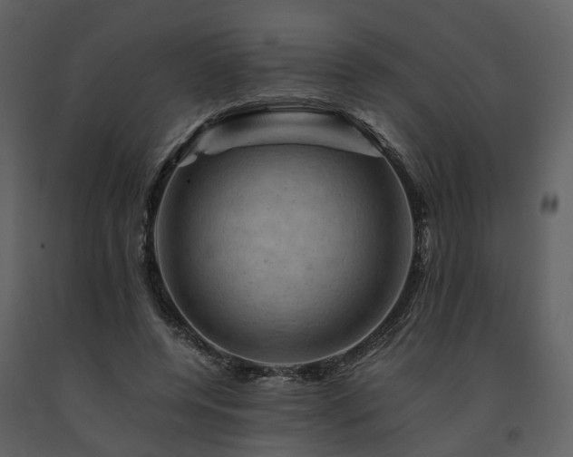 X0000091710544200708241249