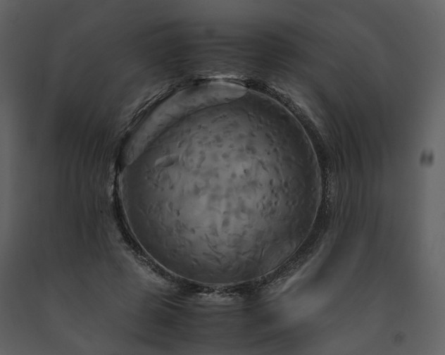 X0000091710545200708241249