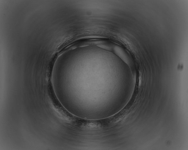 X0000091710546200708241249