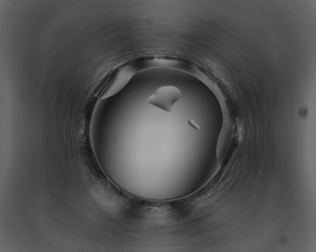 X0000091710548200708241249