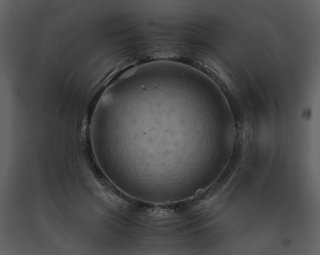 X0000091710549200708241249