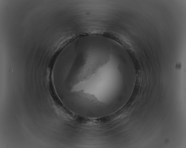 X0000091710550200708241249